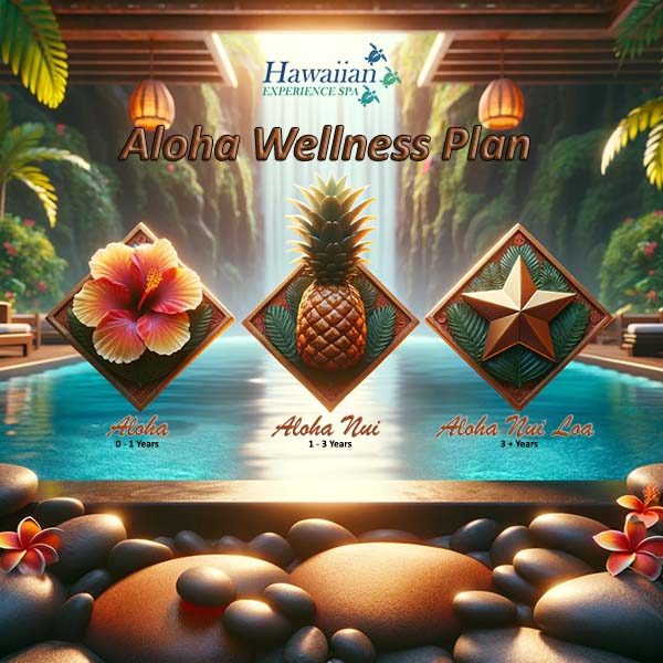 Aloha Wellness Plan sign at Hawaiian Experience Spa, Phoenix Arizona. Hibiscus, pineapple, star symbols with a waterfall background with stones and plumeria