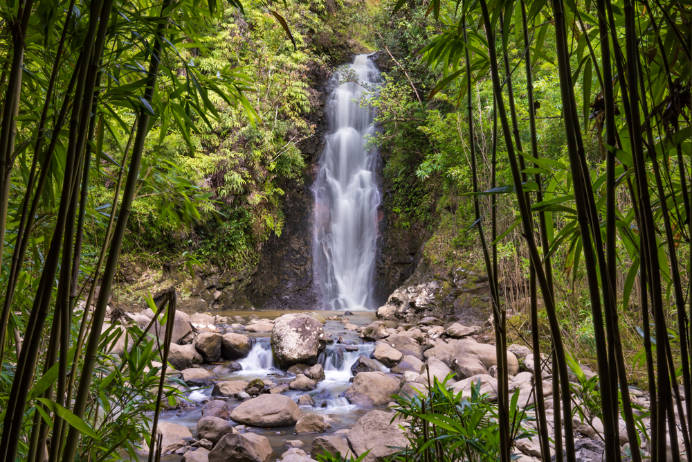 Bamboo Waterfalls