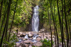 Waterfall In Bamboo Forest