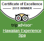 2015 excellence award for Hawaiian Experience Spa