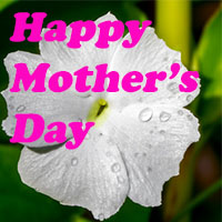 Mothers-day-gift-card-4